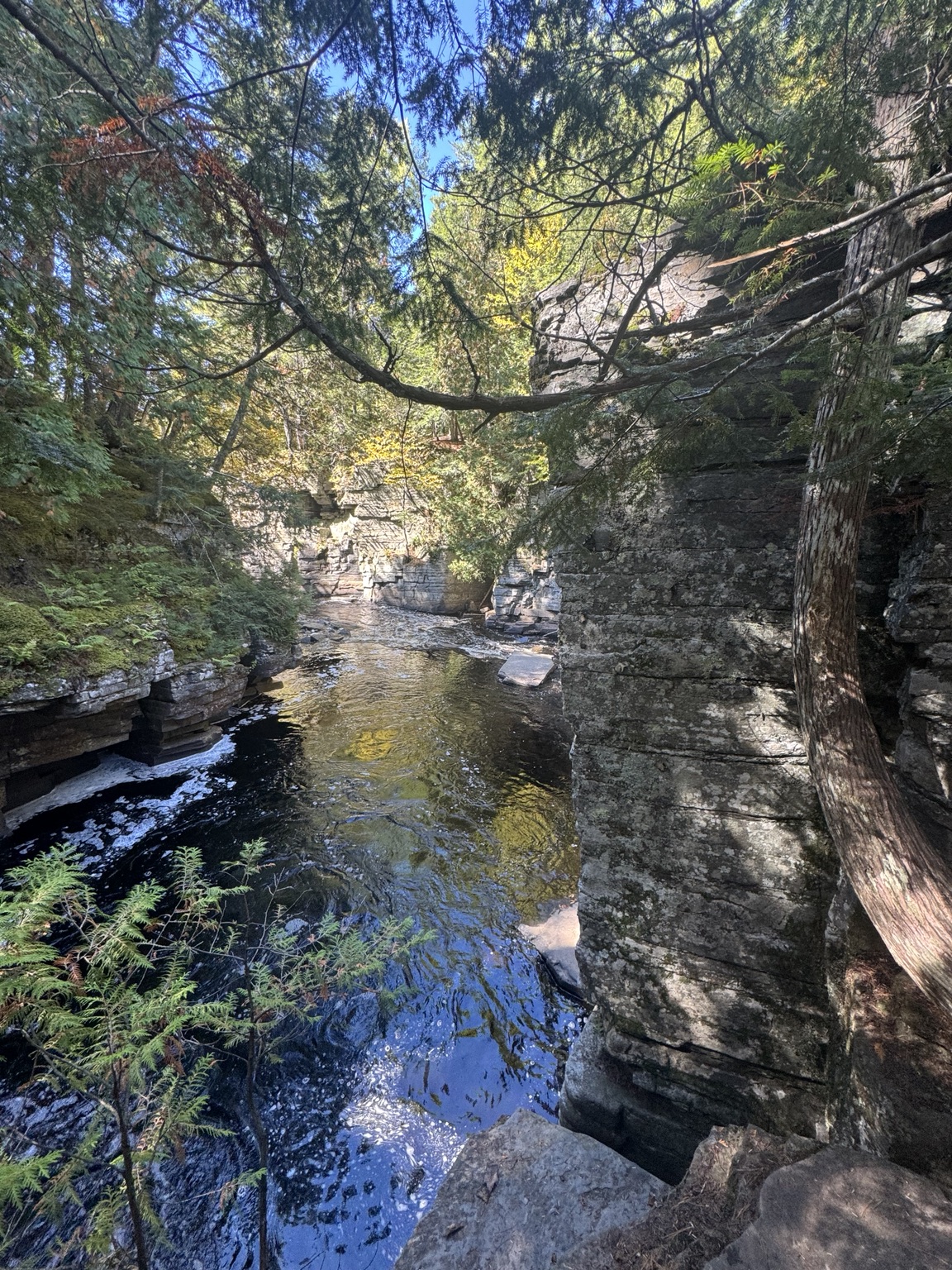 Canyon Falls: The Easy Walk That Ends at a Wild Gorge