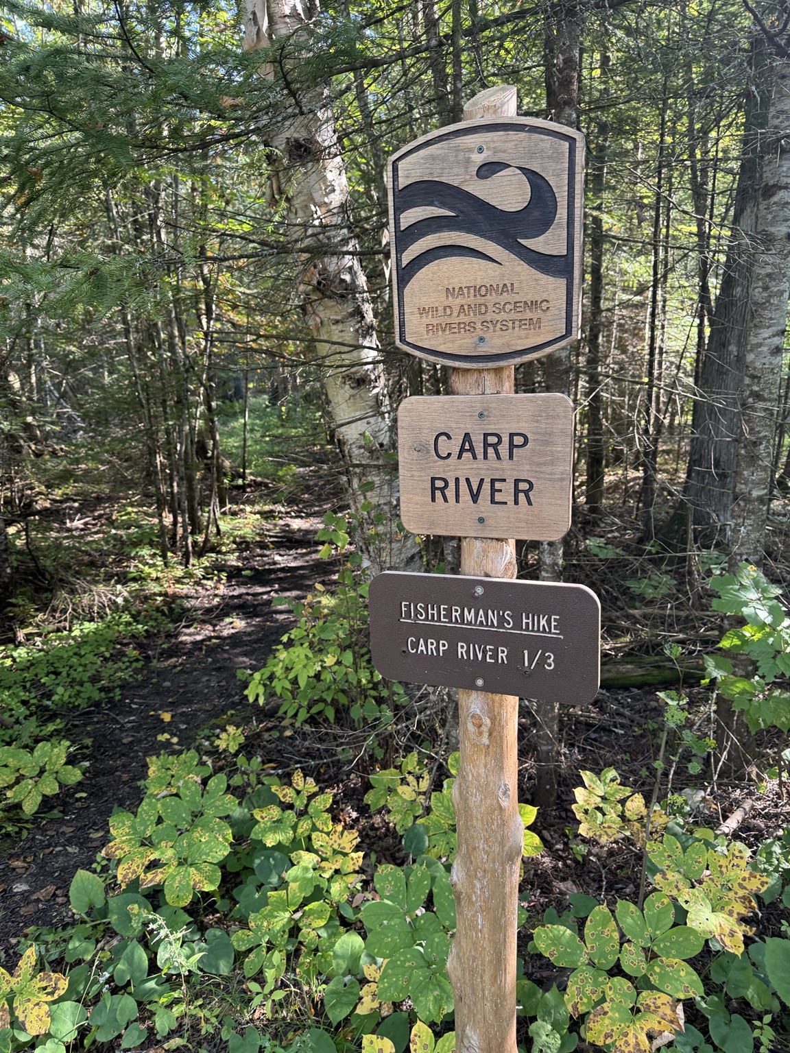 Fisherman’s Hike: A Short Backwoods Trail to the Carp River